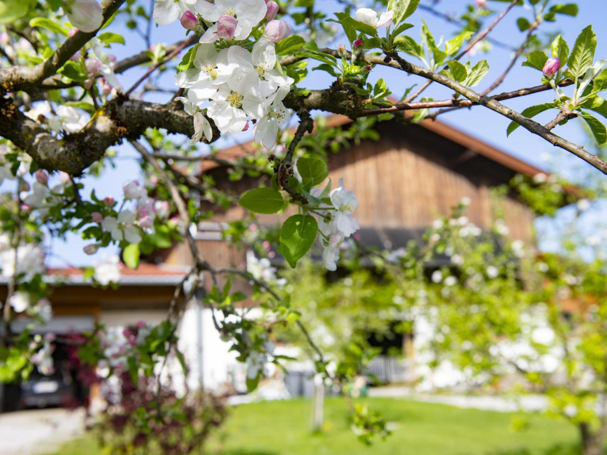 Appartement Auszeit Am Bauernhof à Schwoich Extérieur photo
